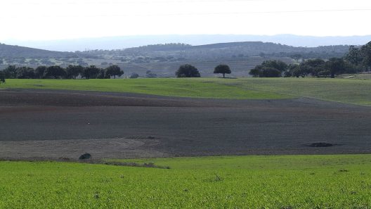 planície alentejana