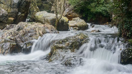 ©Luís Ascenso Photography