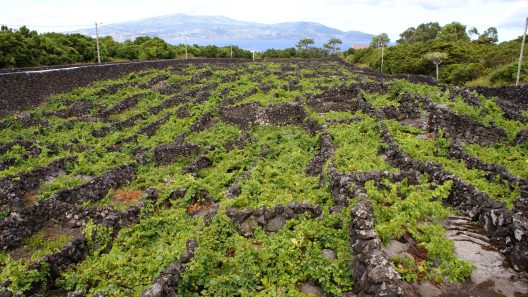 Madalena, Pico, Açores