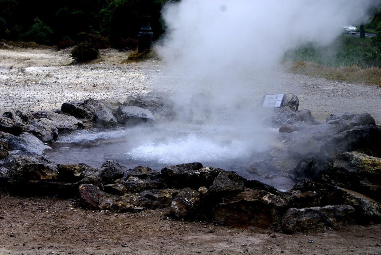 ©José Luís Ávila Silveira/Pedro Noronha e Costa