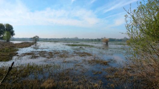 Pateira de Frossos, Albergaria-a-Velha