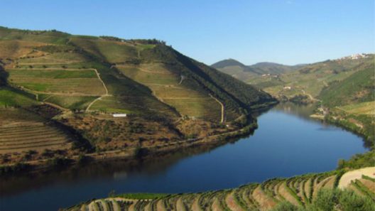 O Douro vinhateiro em Alijó