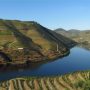 O Douro vinhateiro em Alijó