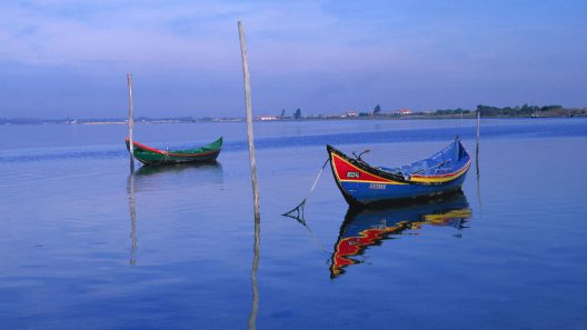 Murtosa está no coração da Ria de Aveiro