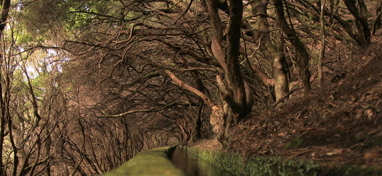 levada das 25 fontes