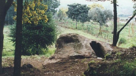 ©CM Carregal do Sal