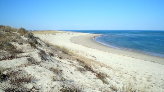 No coração da Ria Formosa