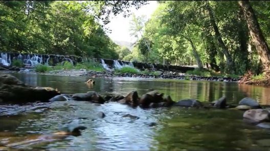 Oliveira do hospital