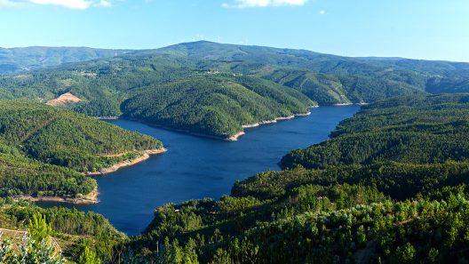 © CM Pampilhosa da Serra