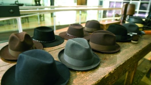 © CM S. João da Madeira