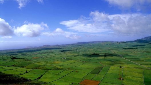 Em Praia da Vitória podemos ver os verdes da ilha
