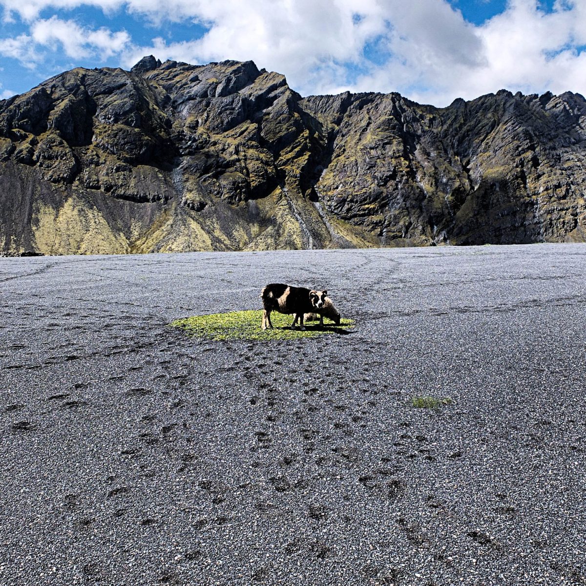 Na costa oriental da Islândia