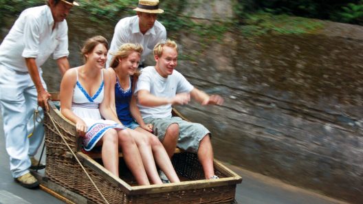adrenalina em carro de cestos