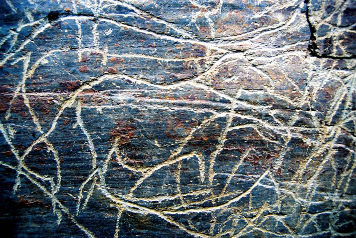 gravuras rupestres do vale do Côa são Património da Humanidade