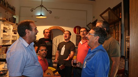 amigos a cantar modas e saias