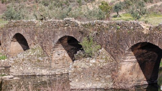 história de proença-a-nova