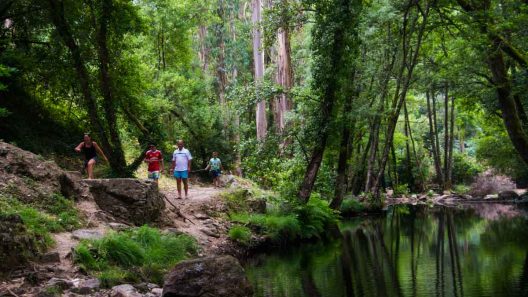 Uma paisagem bucólica