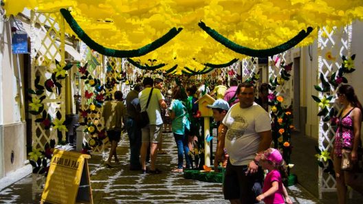 Ruas Floridas redondo